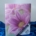 Album Tasche 13x18 200 Foto Andrea