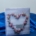 Album Mascagni Tasche10x15 100 Foto David